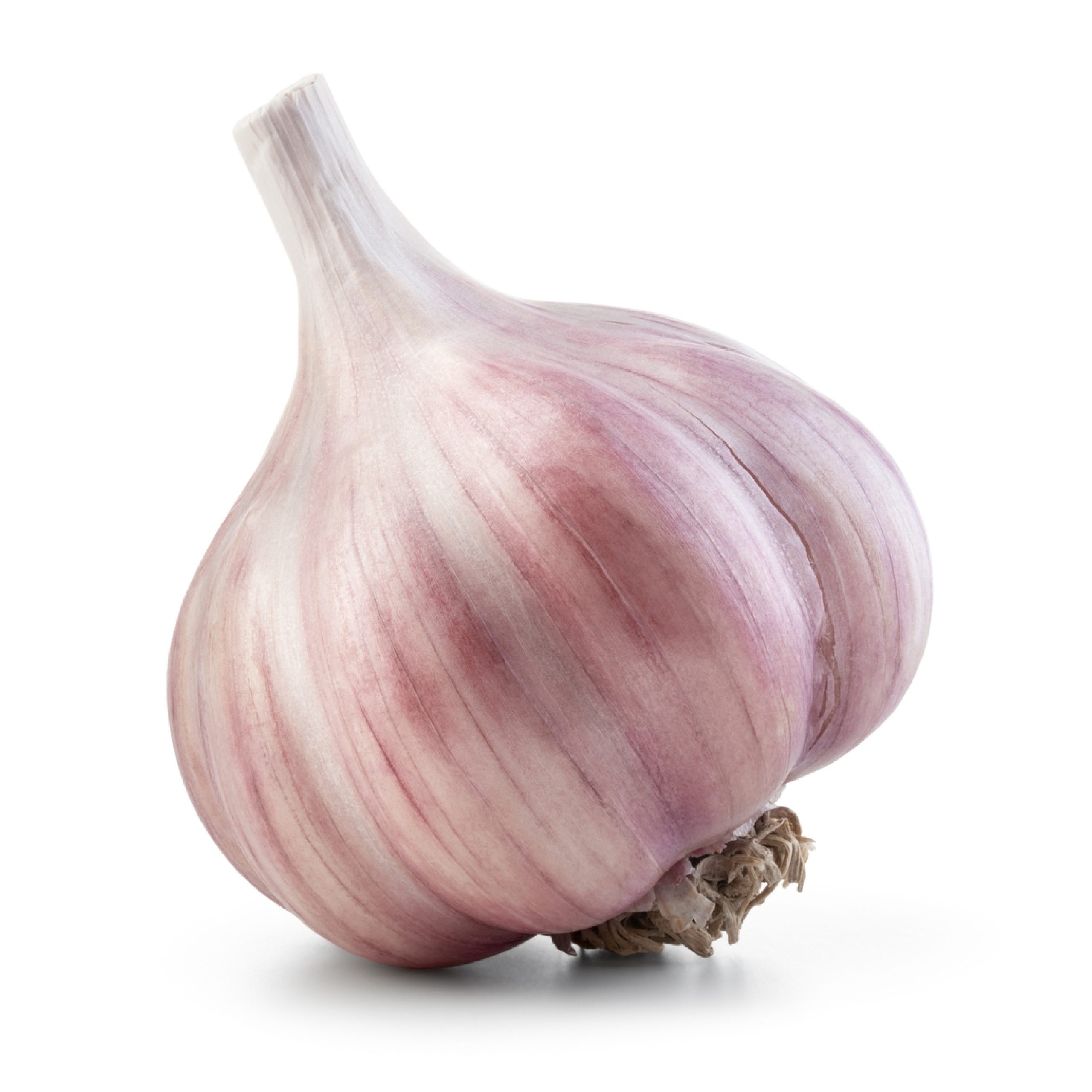 Garlic-01