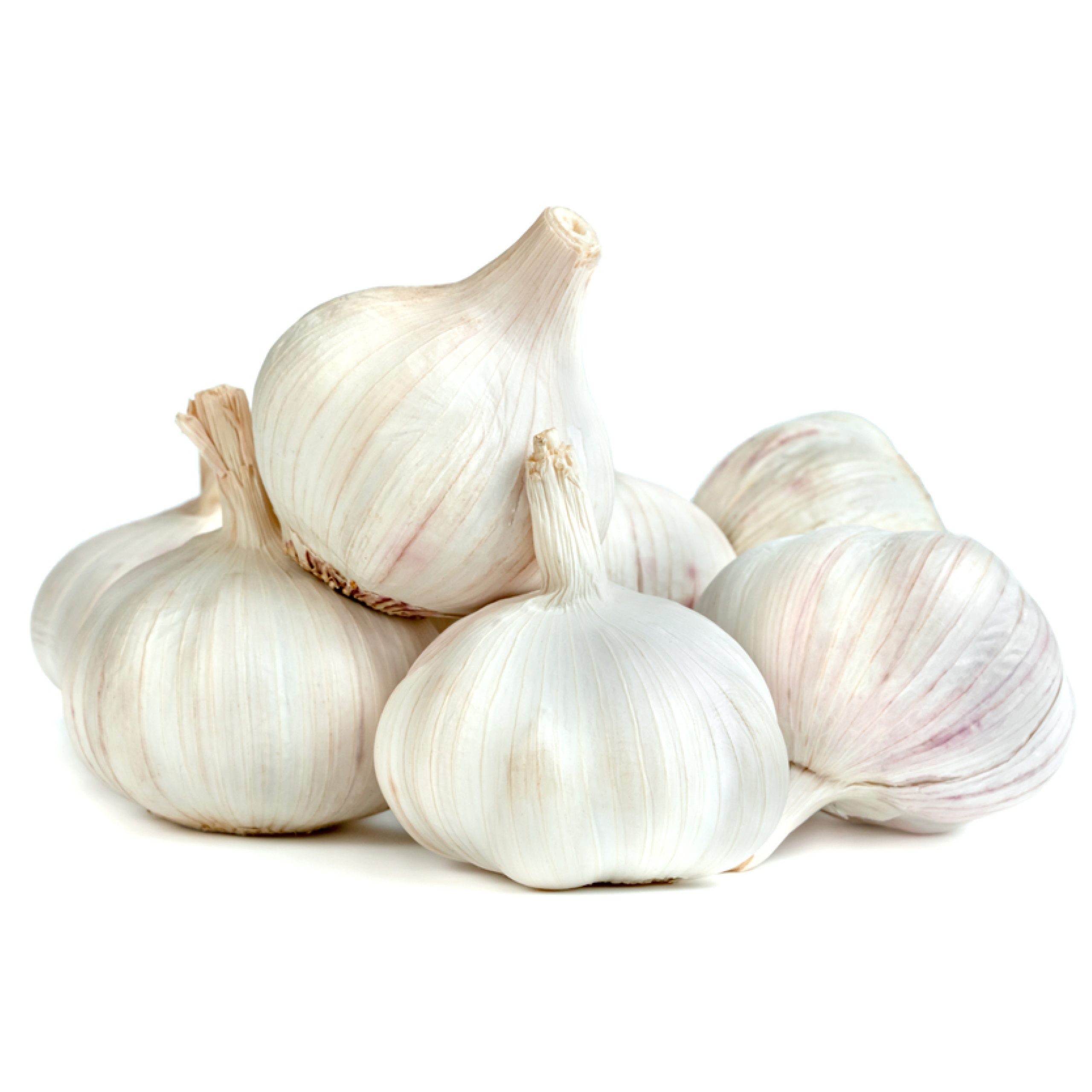 Garlic-02