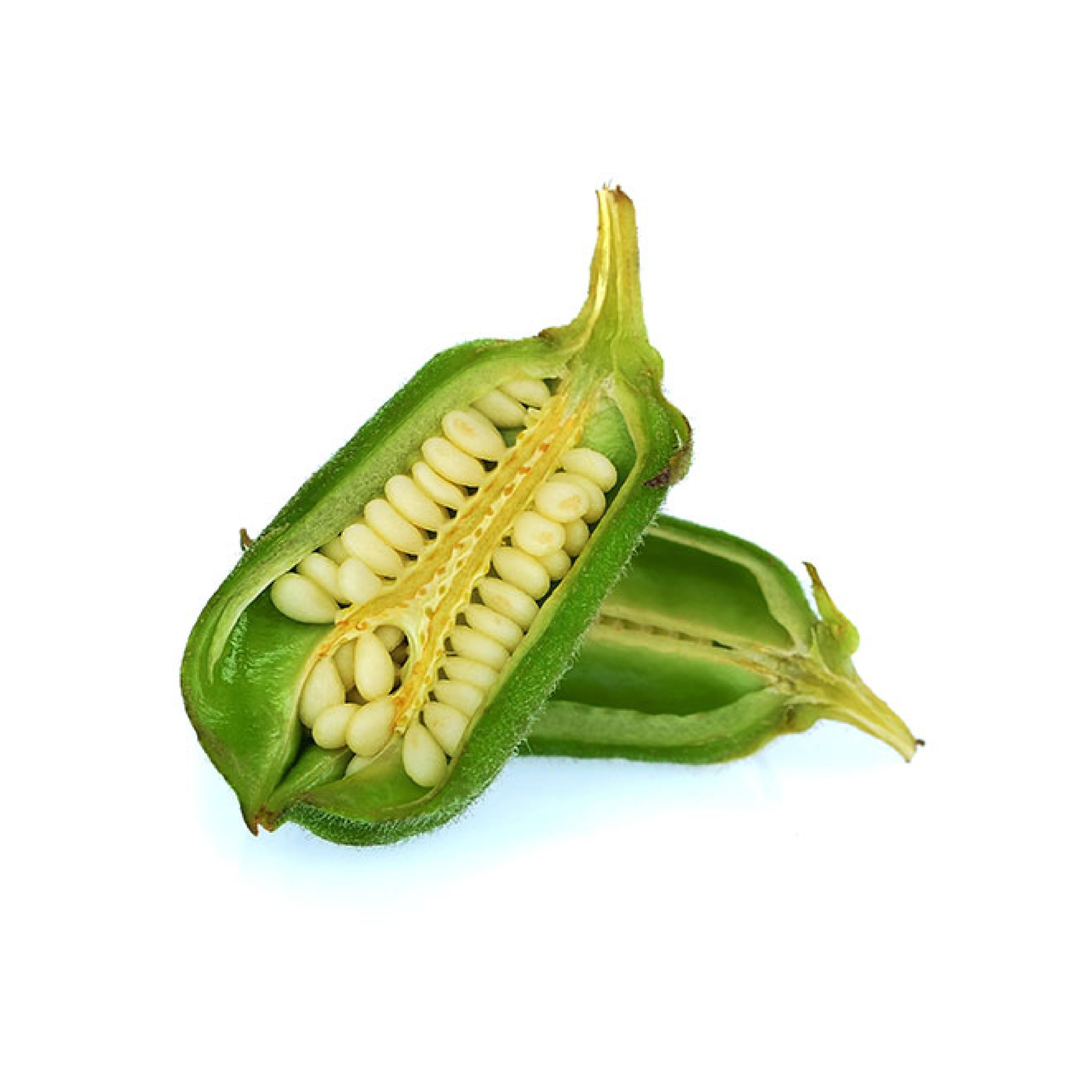 Sesame seeds_Artboard 3