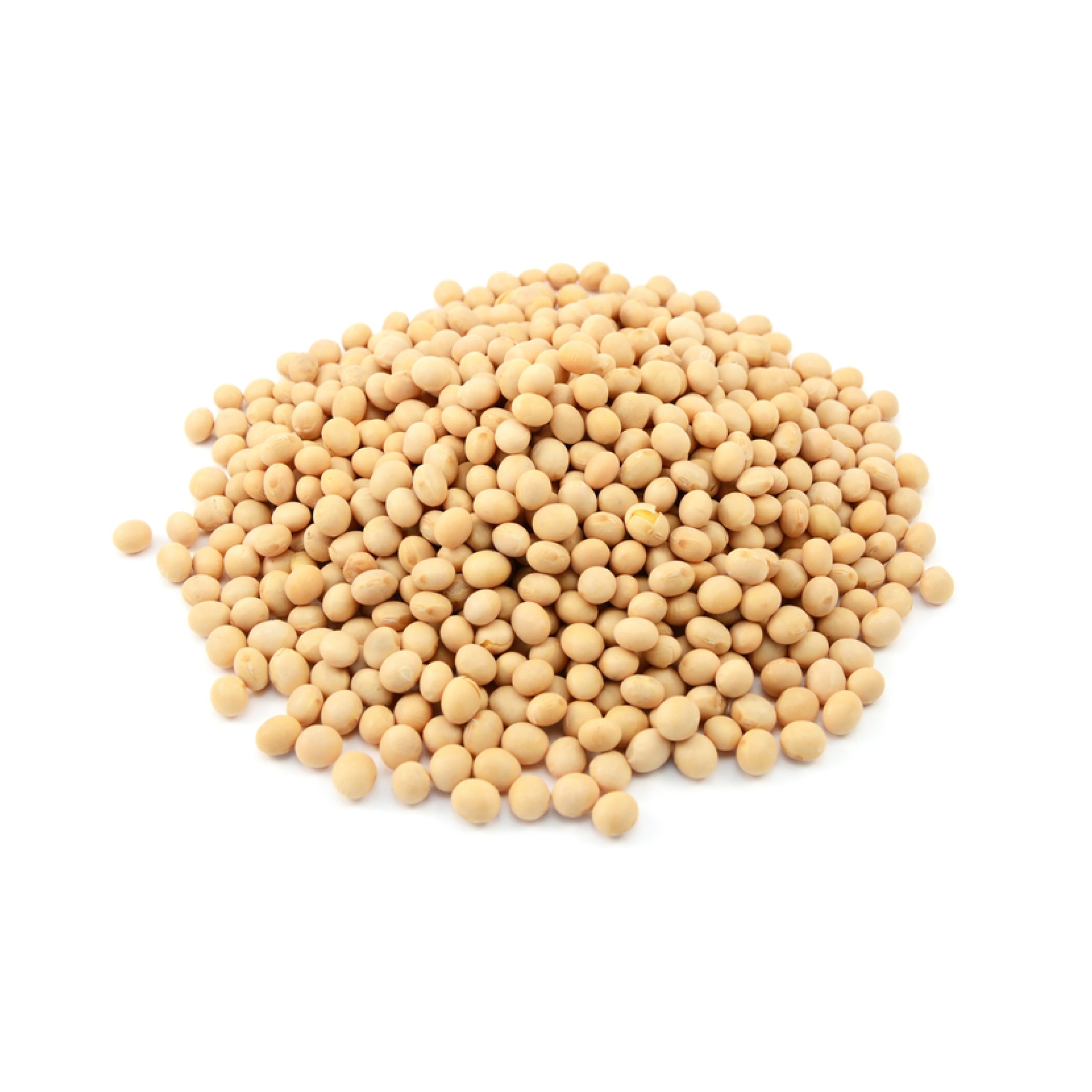 Soybean-02