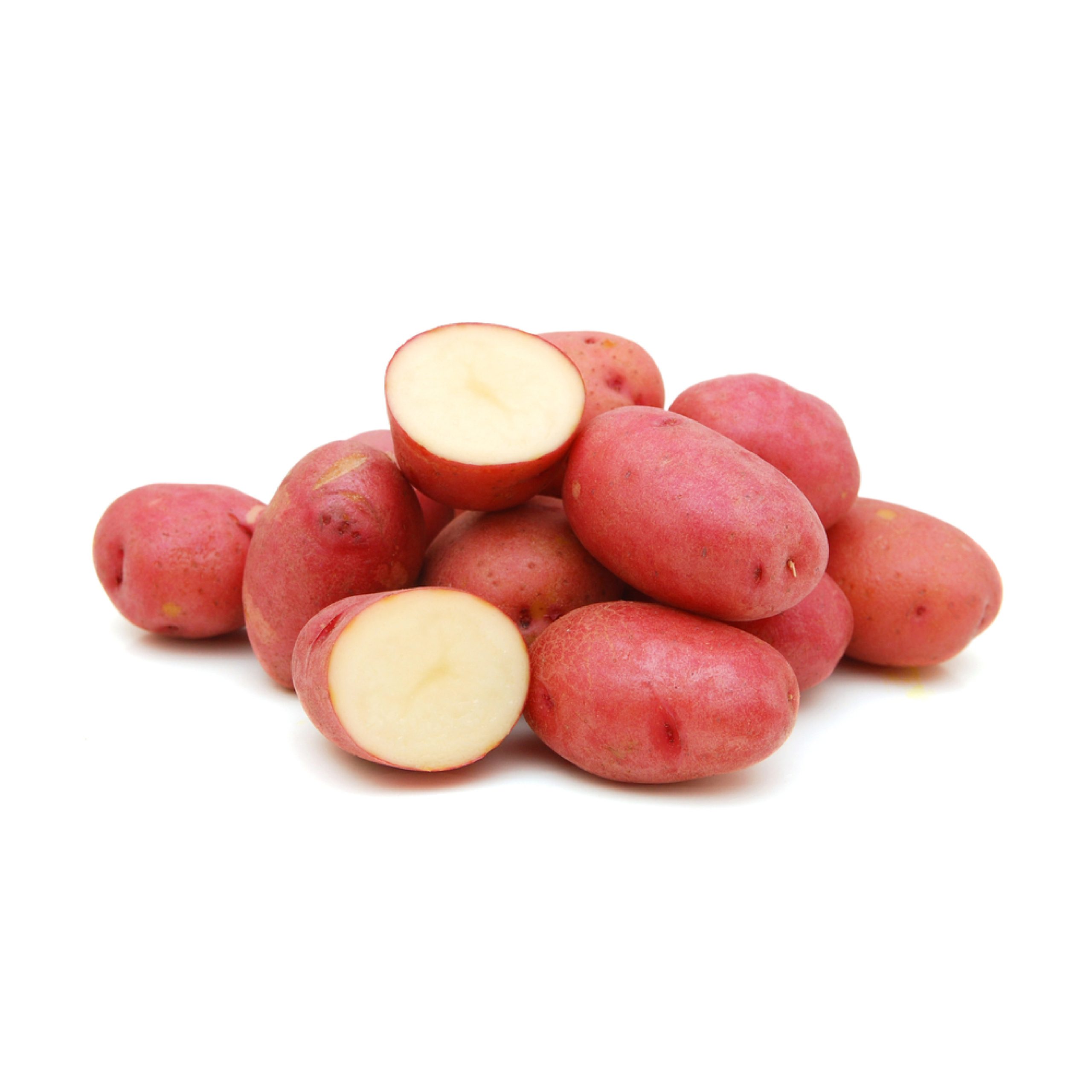 red Potato-01
