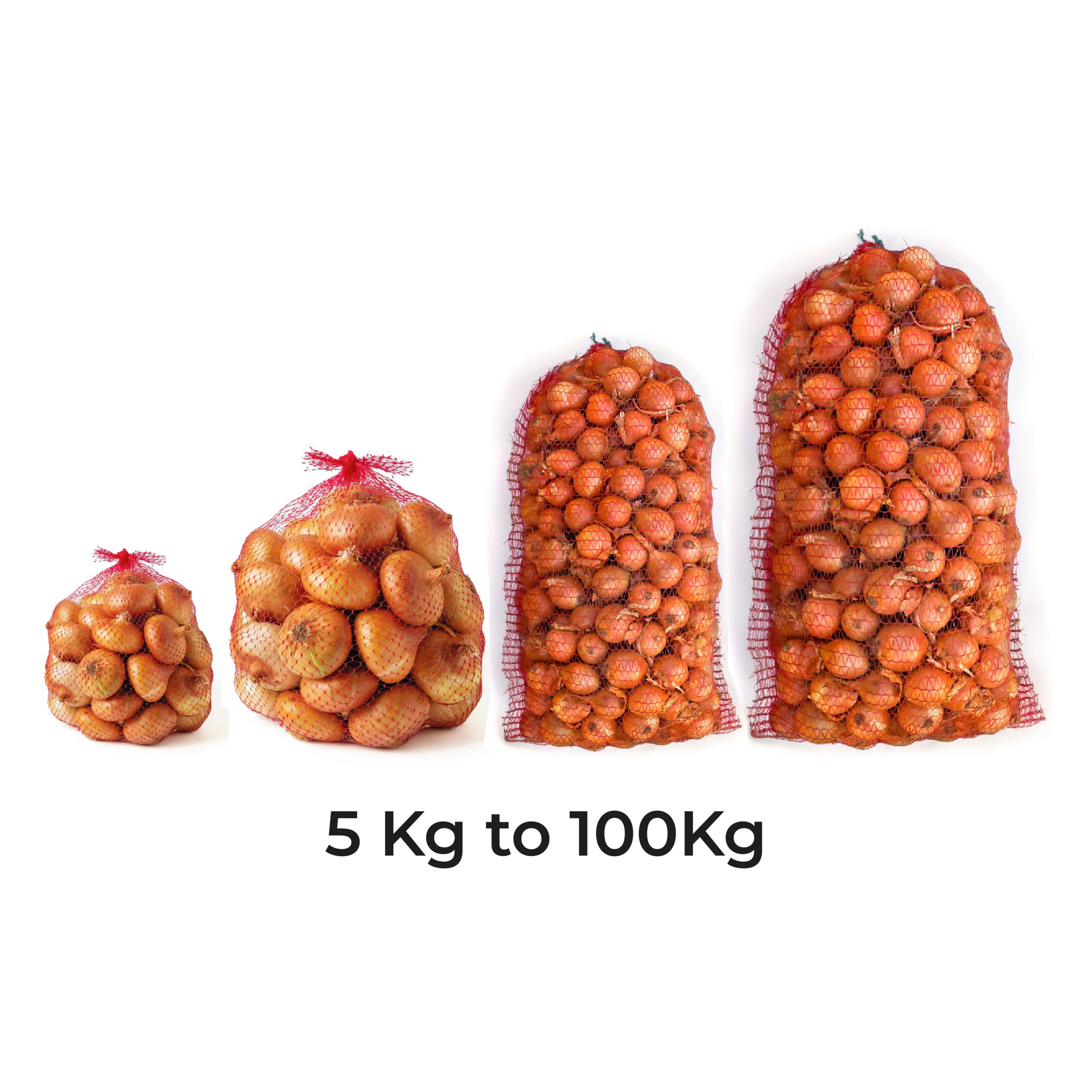 yellow Onions_Artboard 4